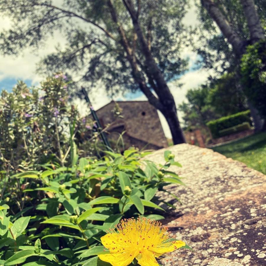 Podere La Chiusella B&B Rapolano Terme Eksteriør bilde