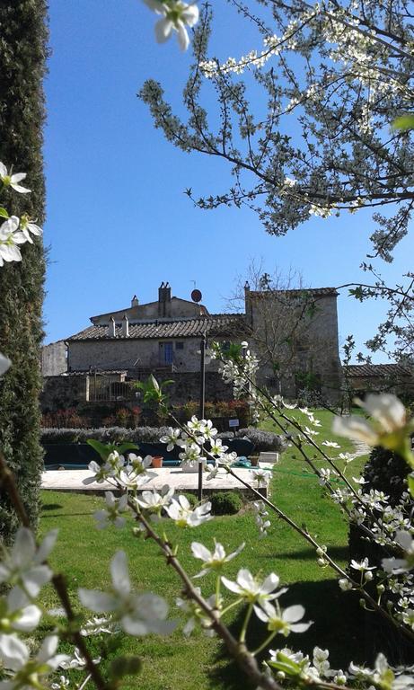 Podere La Chiusella B&B Rapolano Terme Eksteriør bilde
